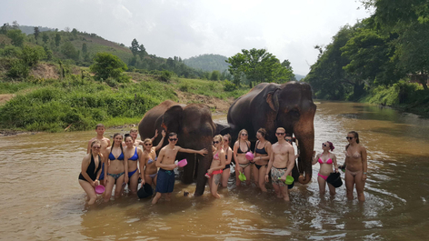 Thailand Elephants and Beaches 15 Day Adventure: Hostel Accom
