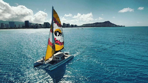 3 Hour Waikiki Turtle, Snorkel And Sail Adventure