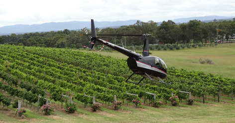Wine Country Highlights Scenic Helicopter Flight: Hunter Valley
